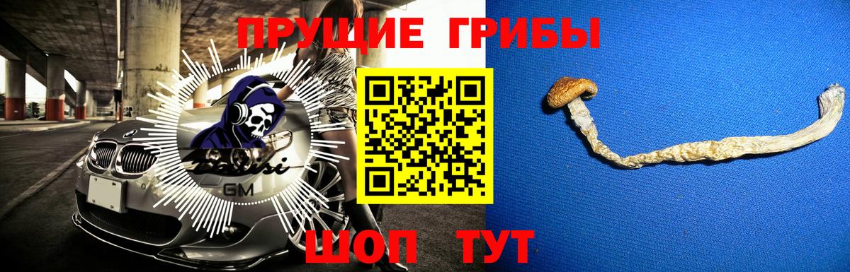 Псилоцибиновые грибы MAGIC MUSHROOMS  Псилоцибиновые грибы прущие грибы  Вход с VPN  Сургут 