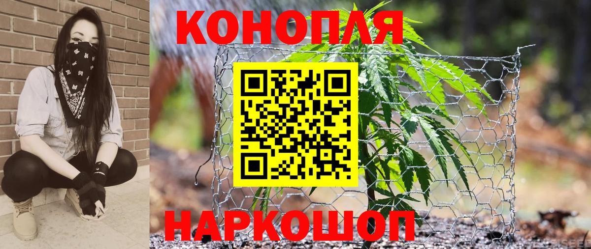 Конопля LSD WEED  Вход с VPN  Бошки марихуана MAZAR  Марихуана сатива  Сургут 